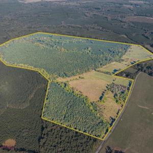 Photo #6 of 2901 Lewis Ford Road, Brookneal, VA 162.5 acres