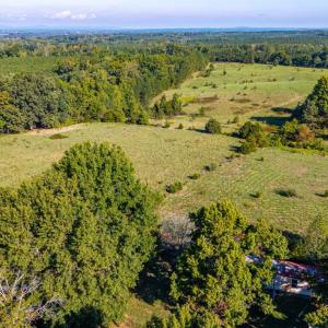 Photo #29 of 2901 Lewis Ford Road, Brookneal, VA 162.5 acres