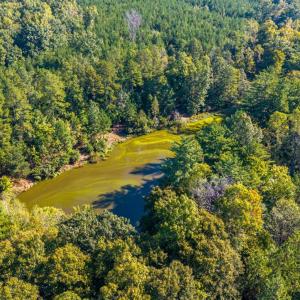 Photo #37 of 2901 Lewis Ford Road, Brookneal, VA 162.5 acres