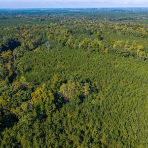 Photo #43 of 2901 Lewis Ford Road, Brookneal, VA 162.5 acres