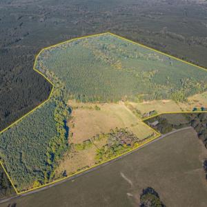 Photo #4 of 2901 Lewis Ford Road, Brookneal, VA 162.5 acres