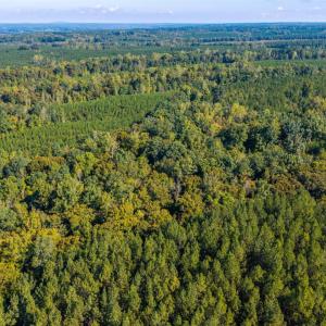 Photo #64 of 2901 Lewis Ford Road, Brookneal, VA 162.5 acres