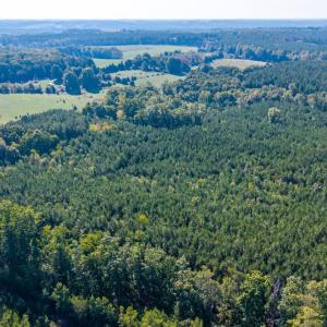 Photo #53 of 2901 Lewis Ford Road, Brookneal, VA 162.5 acres