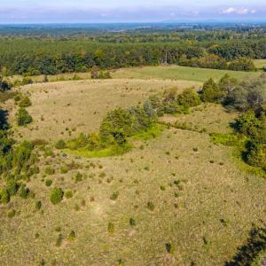 Photo #23 of 2901 Lewis Ford Road, Brookneal, VA 162.5 acres