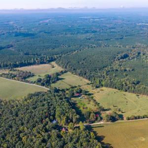 Photo #19 of 2901 Lewis Ford Road, Brookneal, VA 162.5 acres
