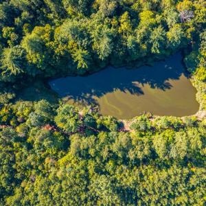 Photo #40 of 2901 Lewis Ford Road, Brookneal, VA 162.5 acres