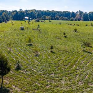 Photo #56 of 2901 Lewis Ford Road, Brookneal, VA 162.5 acres