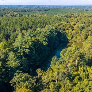 Photo #36 of 2901 Lewis Ford Road, Brookneal, VA 162.5 acres
