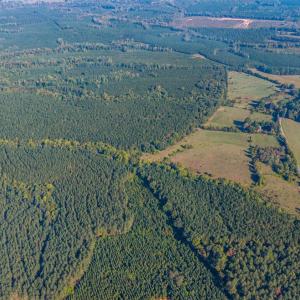 Photo #7 of 2901 Lewis Ford Road, Brookneal, VA 162.5 acres