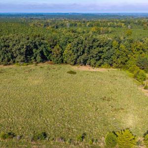 Photo #30 of 2901 Lewis Ford Road, Brookneal, VA 162.5 acres