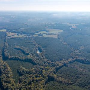 Photo #12 of 2901 Lewis Ford Road, Brookneal, VA 162.5 acres