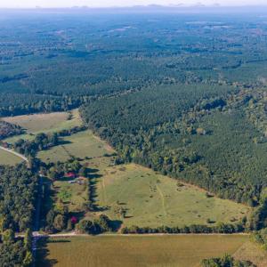 Photo #18 of 2901 Lewis Ford Road, Brookneal, VA 162.5 acres