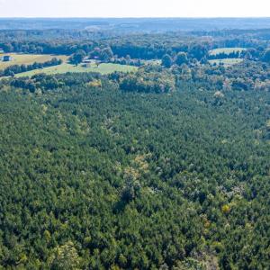 Photo #51 of 2901 Lewis Ford Road, Brookneal, VA 162.5 acres