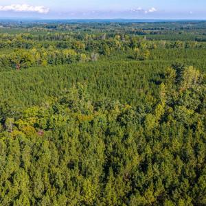 Photo #60 of 2901 Lewis Ford Road, Brookneal, VA 162.5 acres