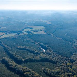 Photo #13 of 2901 Lewis Ford Road, Brookneal, VA 162.5 acres