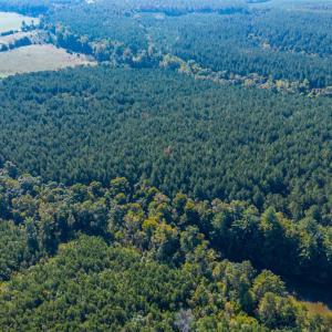 Photo #71 of 2901 Lewis Ford Road, Brookneal, VA 162.5 acres