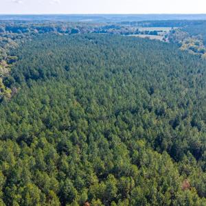 Photo #65 of 2901 Lewis Ford Road, Brookneal, VA 162.5 acres