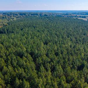 Photo #47 of 2901 Lewis Ford Road, Brookneal, VA 162.5 acres