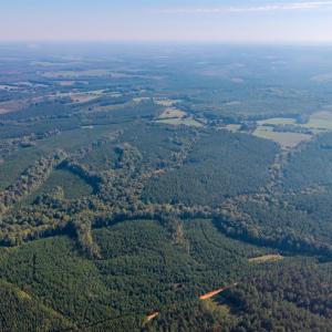 Photo #11 of 2901 Lewis Ford Road, Brookneal, VA 162.5 acres