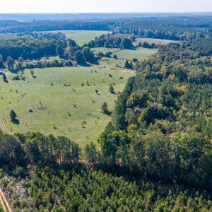 Photo #54 of 2901 Lewis Ford Road, Brookneal, VA 162.5 acres