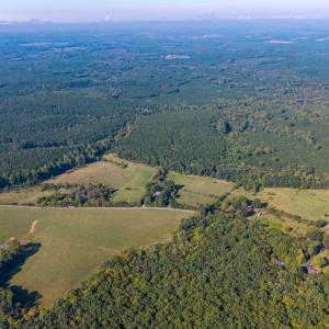 Photo #20 of 2901 Lewis Ford Road, Brookneal, VA 162.5 acres