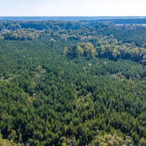 Photo #50 of 2901 Lewis Ford Road, Brookneal, VA 162.5 acres