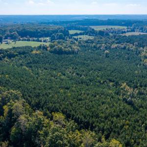 Photo #52 of 2901 Lewis Ford Road, Brookneal, VA 162.5 acres