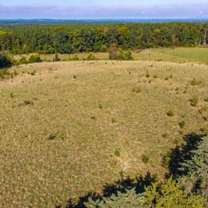 Photo #25 of 2901 Lewis Ford Road, Brookneal, VA 162.5 acres