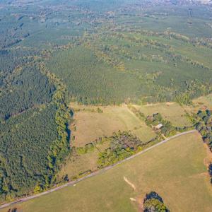 Photo #3 of 2901 Lewis Ford Road, Brookneal, VA 162.5 acres