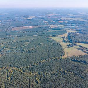 Photo #10 of 2901 Lewis Ford Road, Brookneal, VA 162.5 acres