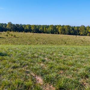 Photo #31 of 2901 Lewis Ford Road, Brookneal, VA 162.5 acres