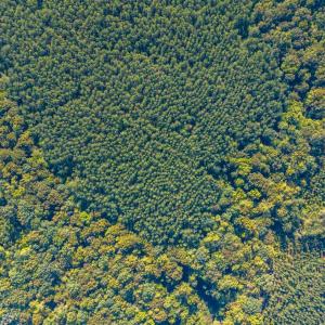 Photo #66 of 2901 Lewis Ford Road, Brookneal, VA 162.5 acres