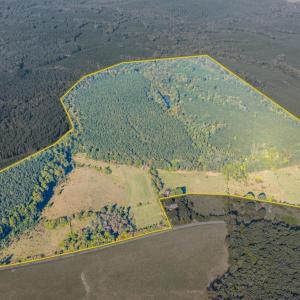 Photo #1 of 2901 Lewis Ford Road, Brookneal, VA 162.5 acres