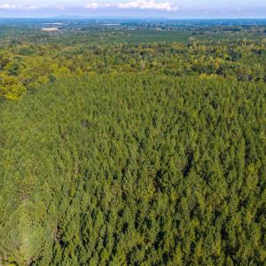 Photo #62 of 2901 Lewis Ford Road, Brookneal, VA 162.5 acres