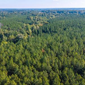 Photo #48 of 2901 Lewis Ford Road, Brookneal, VA 162.5 acres