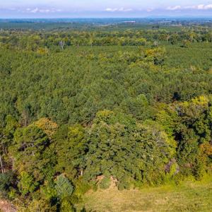 Photo #58 of 2901 Lewis Ford Road, Brookneal, VA 162.5 acres