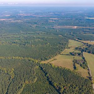 Photo #8 of 2901 Lewis Ford Road, Brookneal, VA 162.5 acres