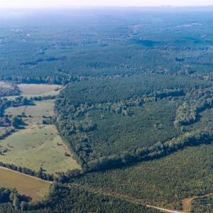 Photo #17 of 2901 Lewis Ford Road, Brookneal, VA 162.5 acres
