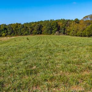 Photo #32 of 2901 Lewis Ford Road, Brookneal, VA 162.5 acres