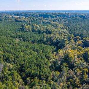 Photo #49 of 2901 Lewis Ford Road, Brookneal, VA 162.5 acres