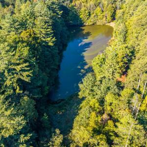 Photo #35 of 2901 Lewis Ford Road, Brookneal, VA 162.5 acres