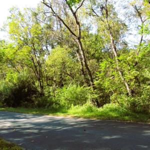 Photo #2 of Fortunes Cove Lane, Lovingston, VA 66.3 acres