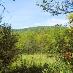 Photo #1 of Fortunes Cove Lane, Lovingston, VA 66.3 acres