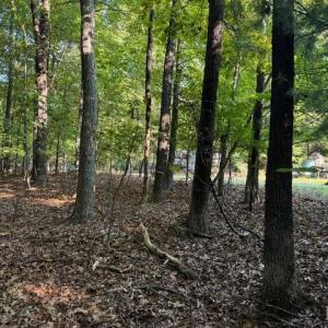 Photo #6 of 22 Woodshire Drive, Blue Ridge, VA 5.1 acres