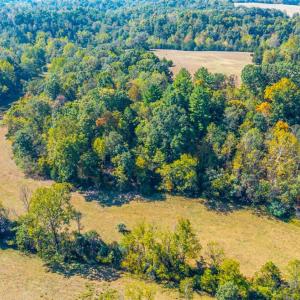Photo #8 of Horseshoe Creek Ln, Amherst, VA 50.0 acres