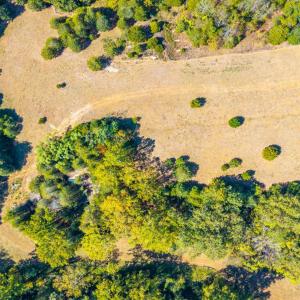 Photo #16 of Horseshoe Creek Ln, Amherst, VA 50.0 acres