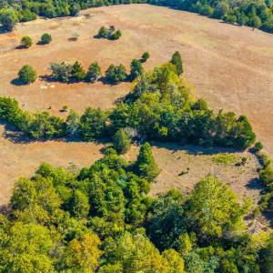 Photo #23 of Horseshoe Creek Ln, Amherst, VA 50.0 acres