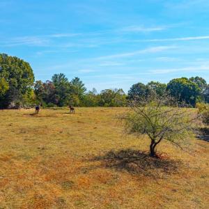 Photo #37 of Horseshoe Creek Ln, Amherst, VA 50.0 acres