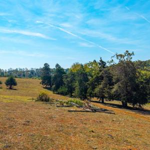 Photo #35 of Horseshoe Creek Ln, Amherst, VA 50.0 acres