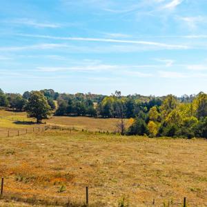 Photo #28 of Horseshoe Creek Ln, Amherst, VA 50.0 acres